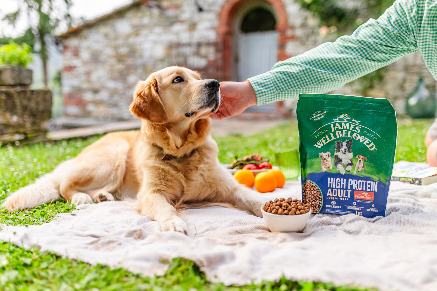 Dog lying on grass and about to eat high protein food