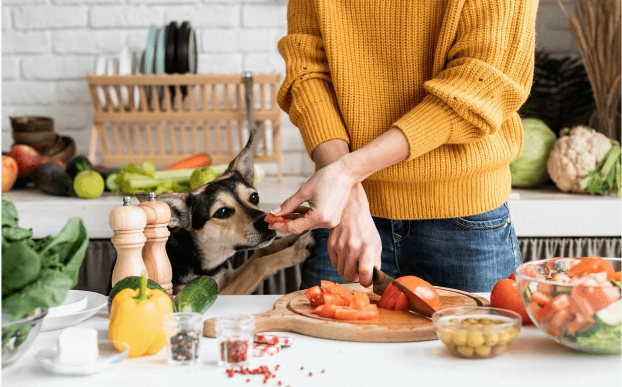 Dog watching adult cook and chop food