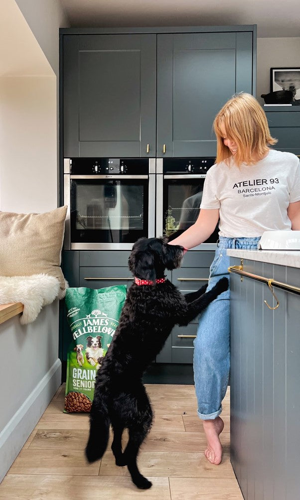 Black dog jumping up on a woman