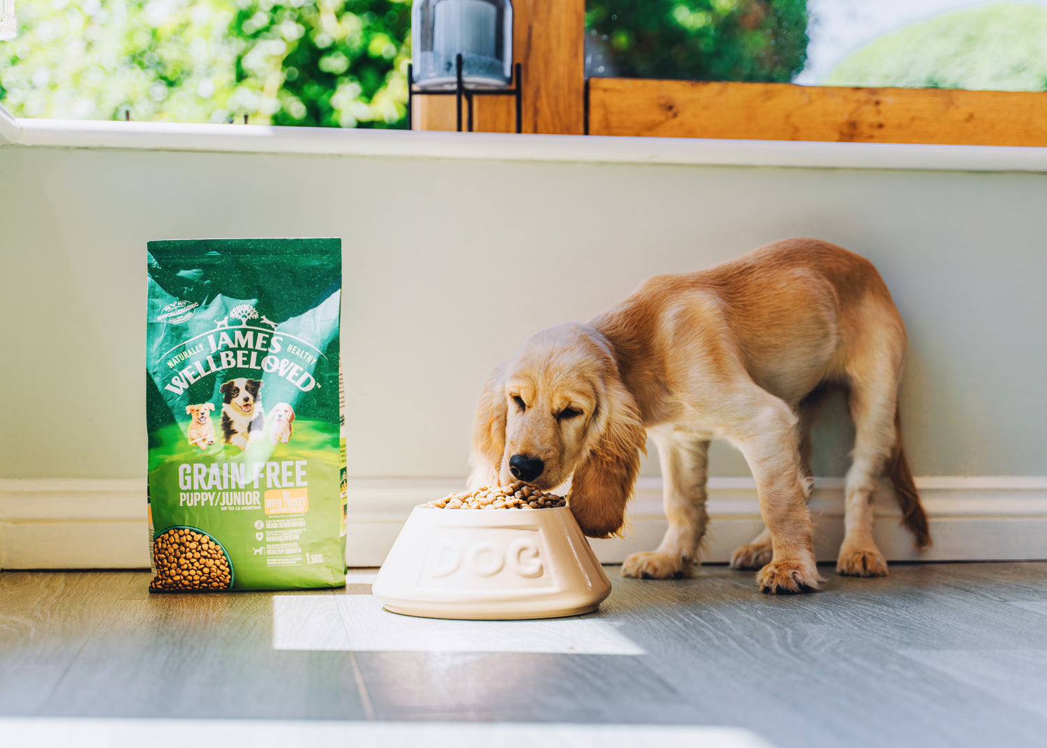 Grain free Puppy & Junior dog food