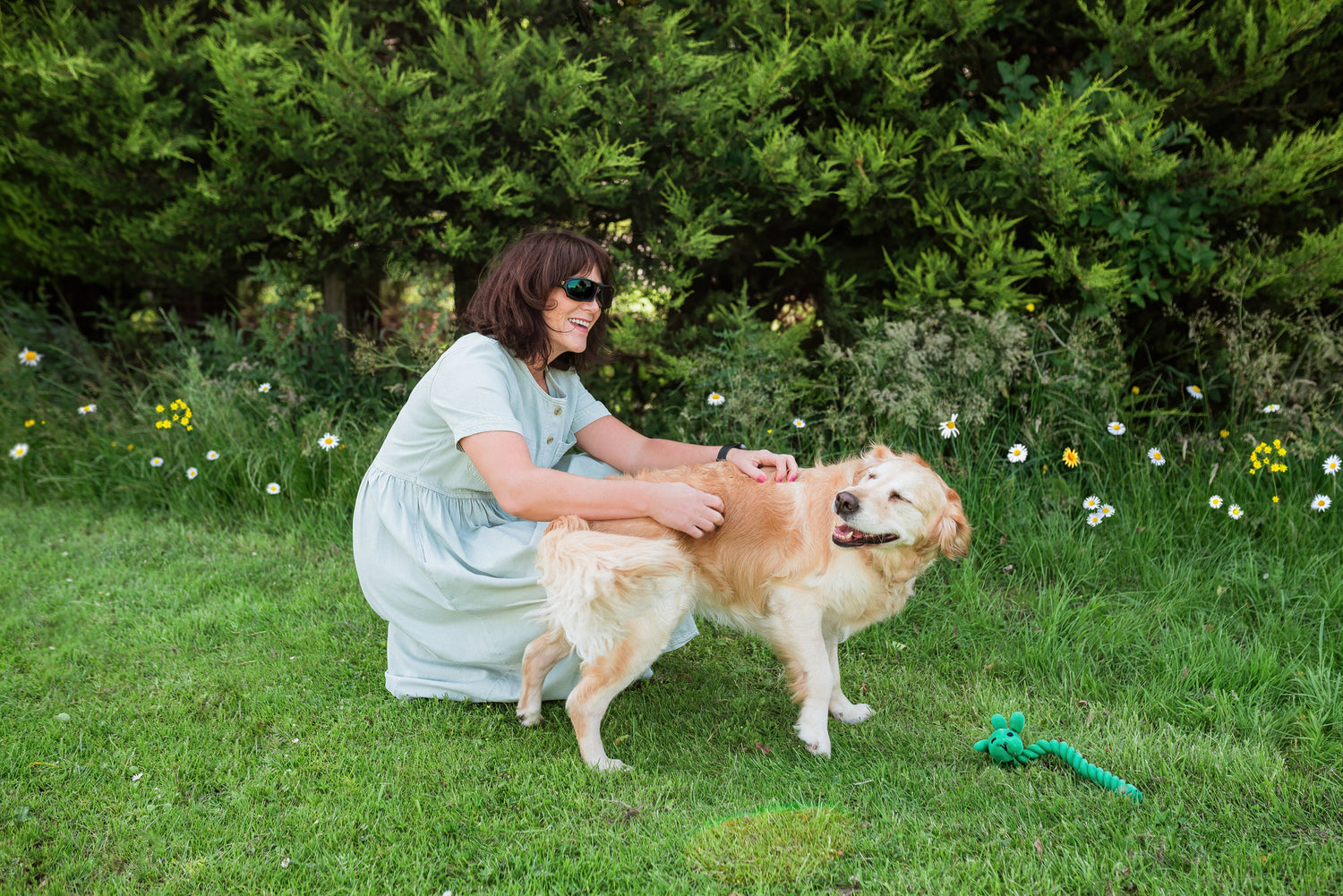 Dry_Dog_Food_-_Paula_M